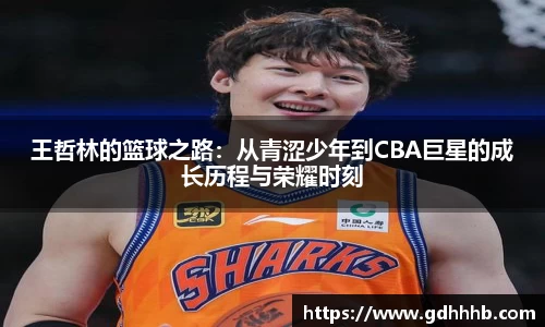 王哲林的篮球之路：从青涩少年到CBA巨星的成长历程与荣耀时刻